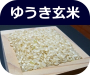 �䂤������