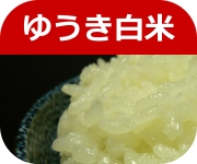 �䂤������